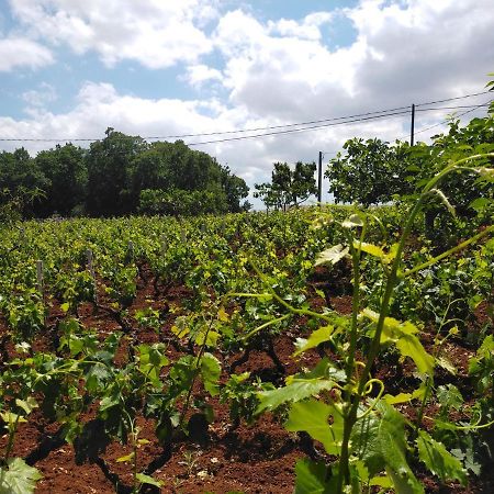 Agro Levità Locorotondo Extérieur photo